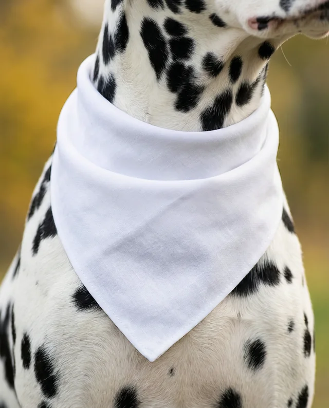 Elegant Dalmatian Dog Mockup with White Bandana in Nature