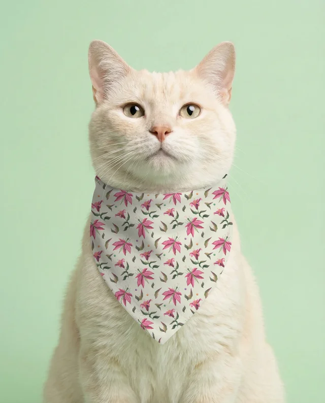 Fluffy Cream Cat in White Bandana Mockup on Pastel Green