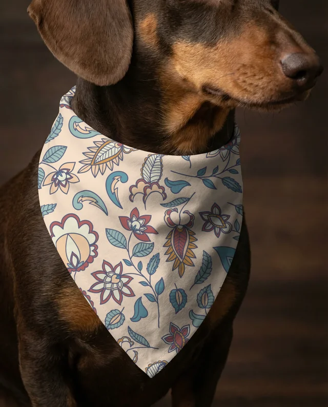 Charming Dachshund Portrait with Stylish Bandana Mockup